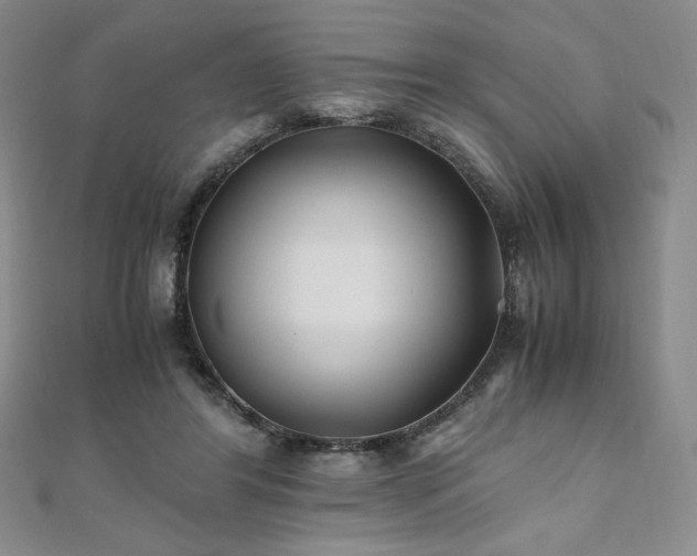 X0000111010404200906191616