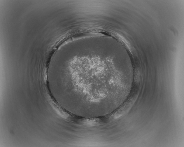 X0000111010405200906191616