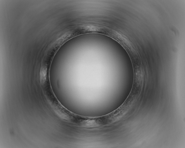 X0000111010406200906191616
