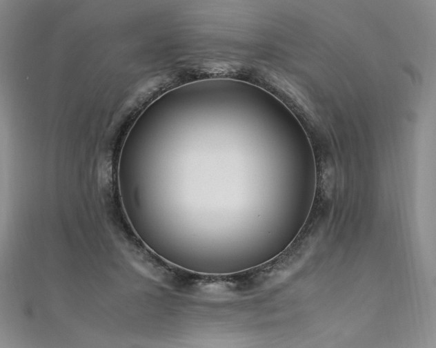X0000111010407200906191616