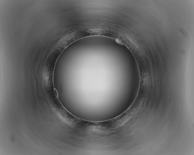 X0000111010408200906191616