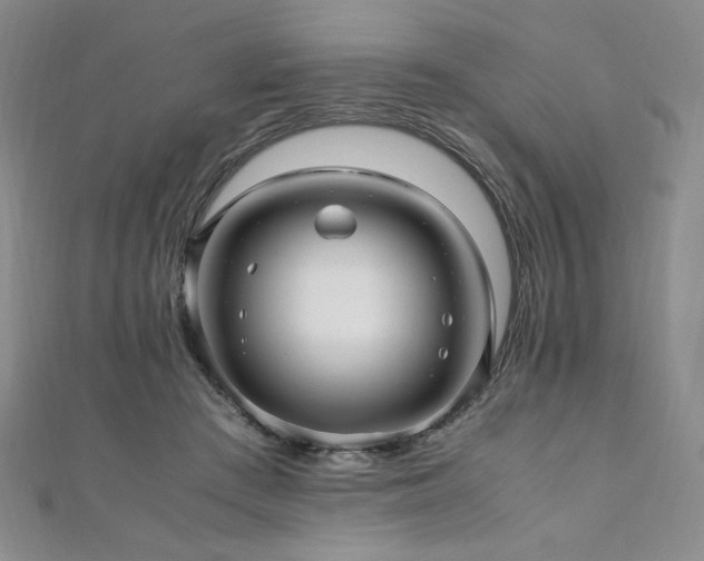 X0000111010409200906191616