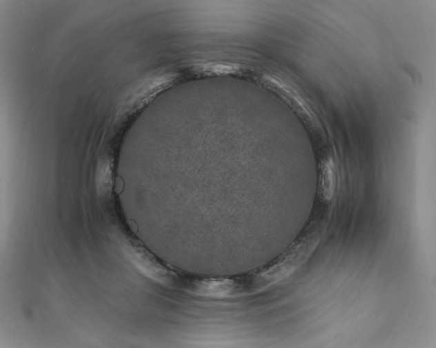 X0000111010410200906191616