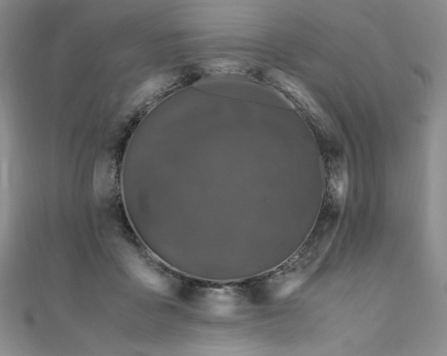 X0000111010411200906191616