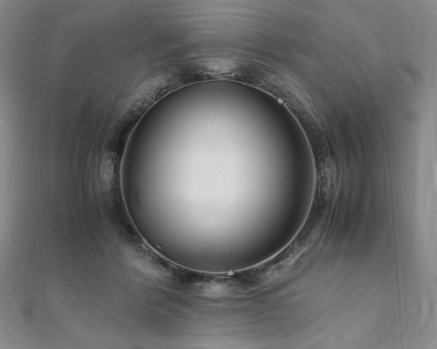 X0000111010412200906191616
