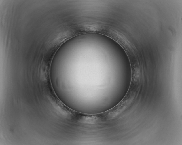 X0000111010414200906191615