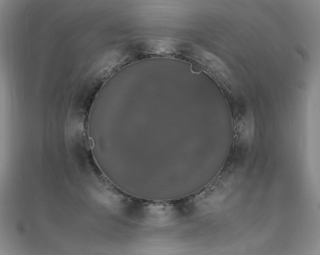 X0000111010415200906191615