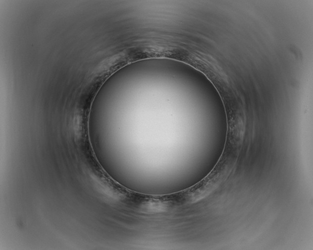 X0000111010416200906191615