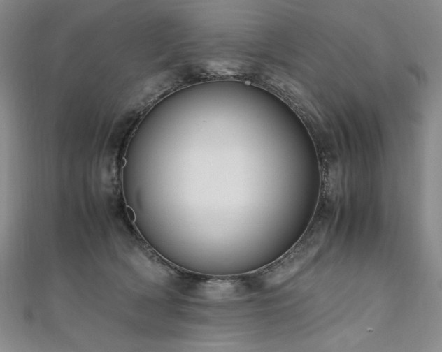 X0000111010418200906191615