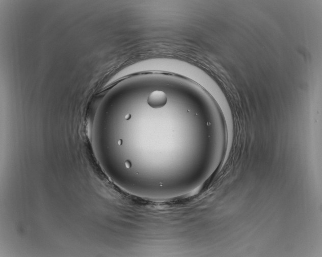 X0000111010419200906191615