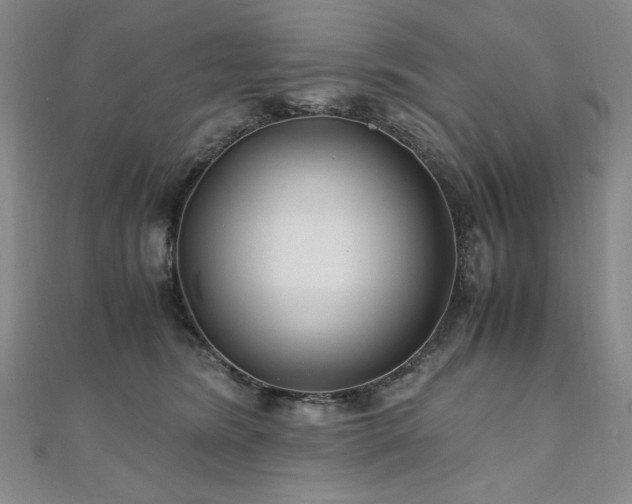 X0000111010420200906191615
