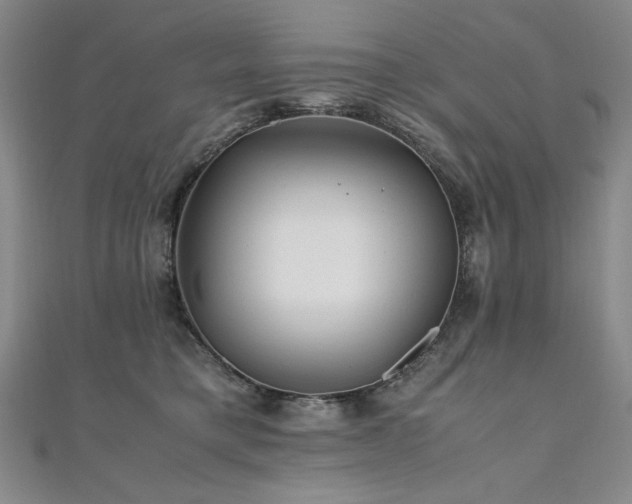 X0000111010421200906191615