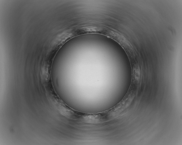 X0000111010422200906191615