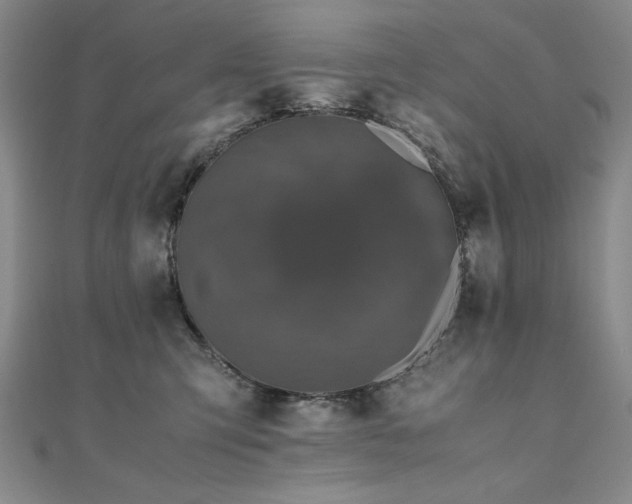X0000111010423200906191615