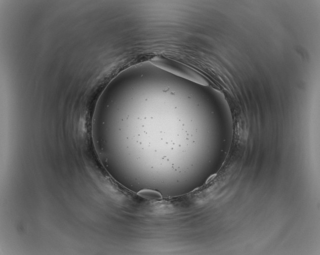 X0000111010424200906191615