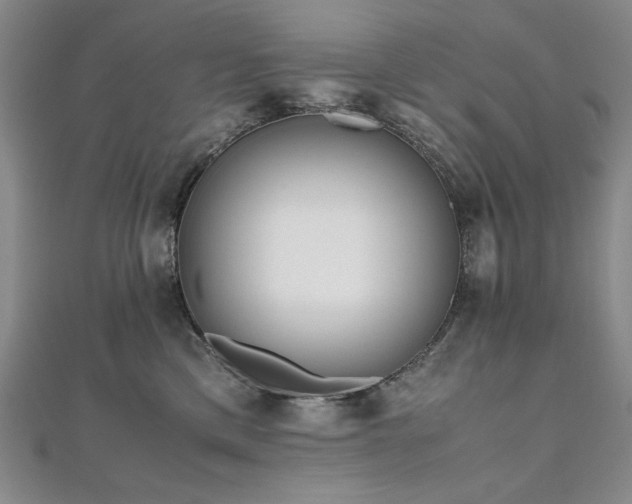 X0000111010425200906191615