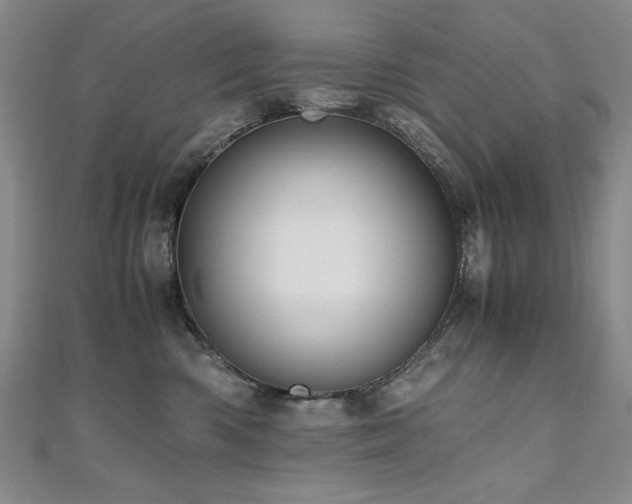 X0000111010426200906191615
