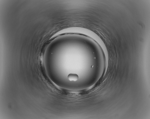 X0000111010427200906191615