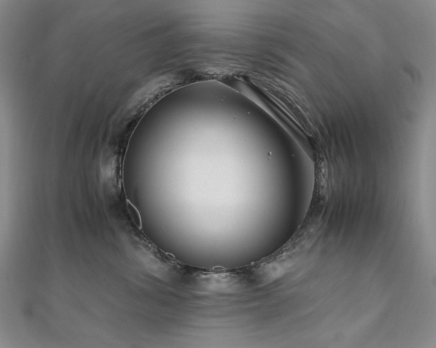 X0000111010428200906191615