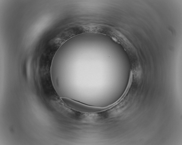 X0000111010429200906191615