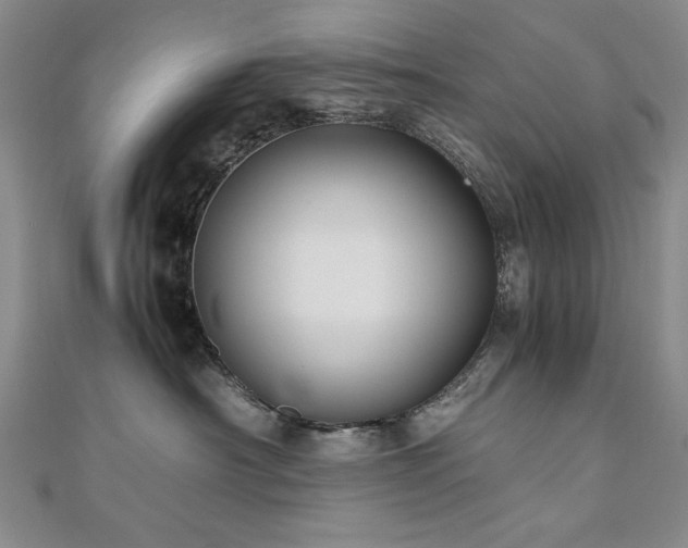 X0000111010430200906191615