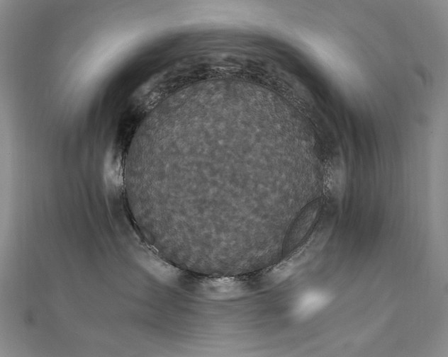 X0000111010431200906191615