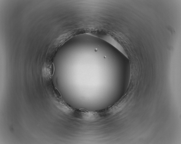 X0000111010432200906191615