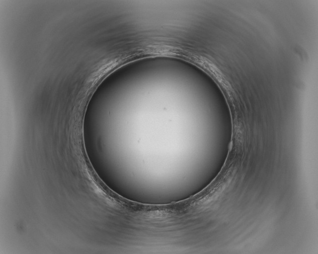 X0000111010433200906191615