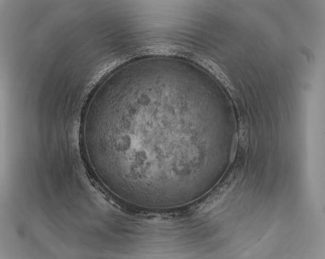 X0000111010434200906191615