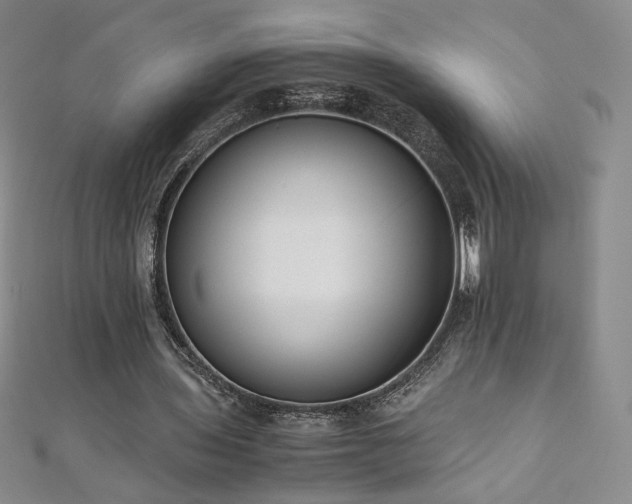 X0000111010435200906191615
