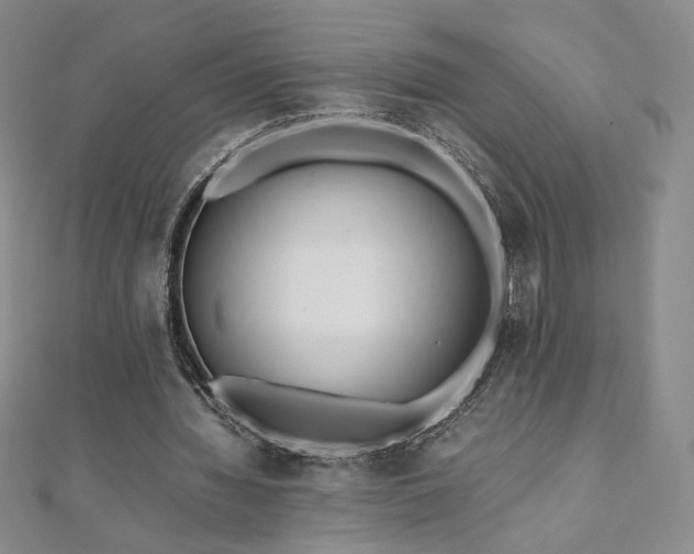 X0000111010436200906191615