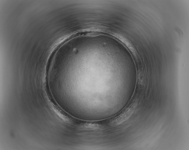 X0000111010437200906191615