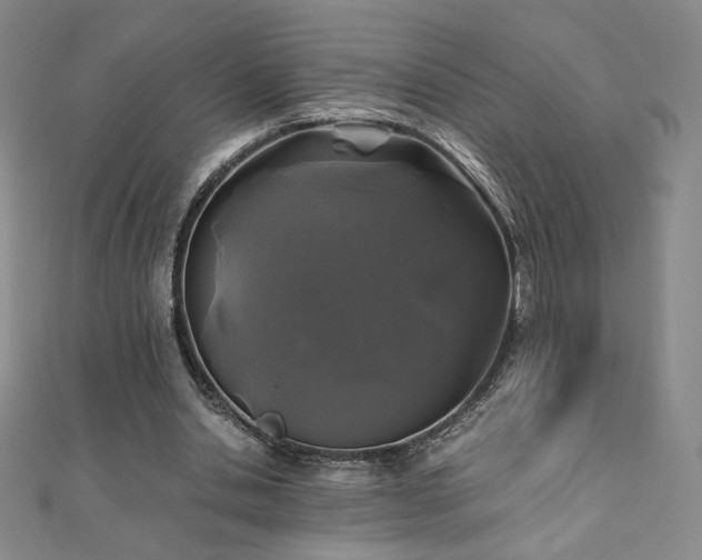 X0000111010438200906191615