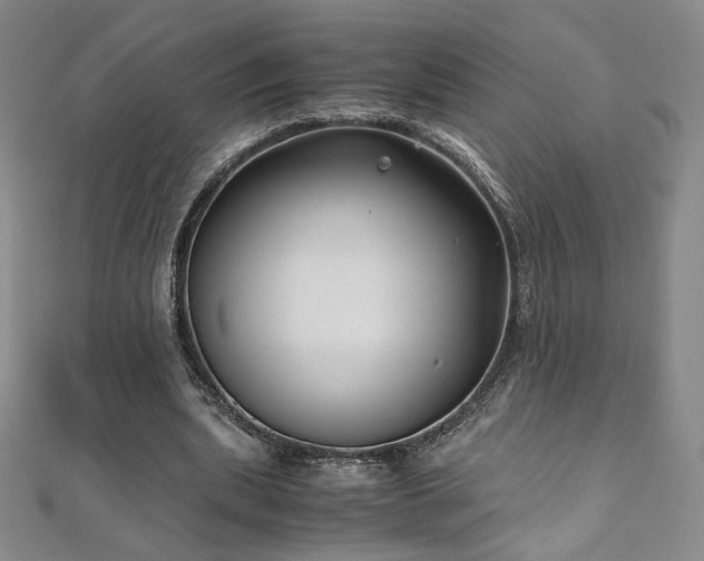 X0000111010439200906191615