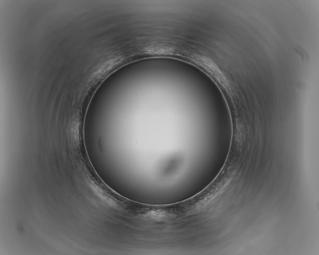 X0000111010441200906191615