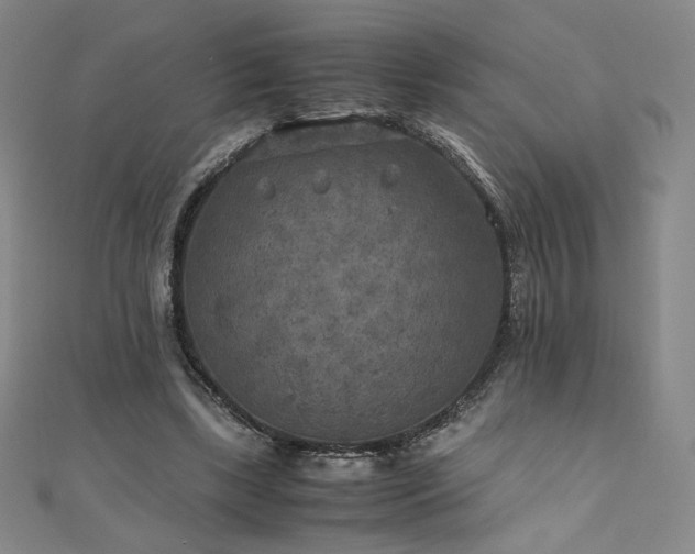 X0000111010443200906191615