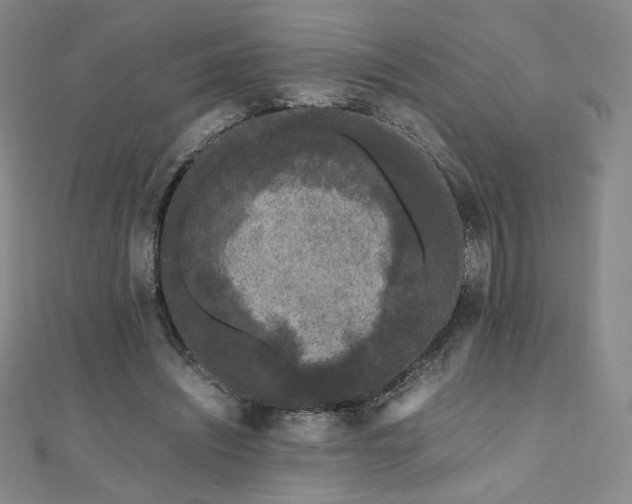 X0000111010444200906191615