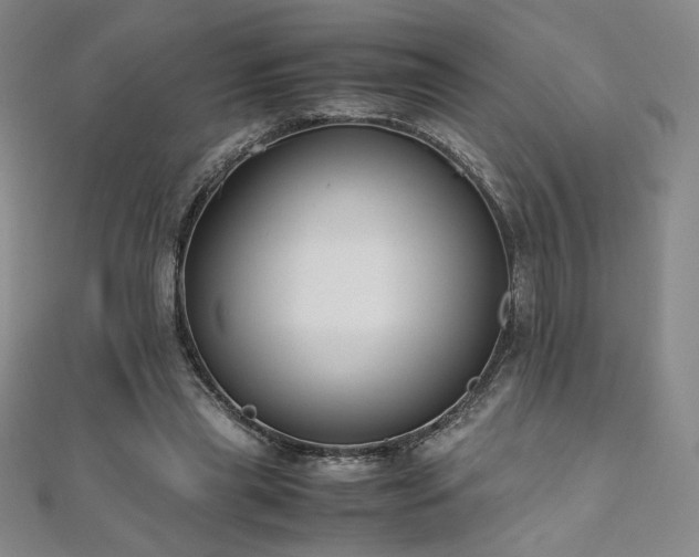 X0000111010445200906191615