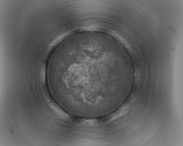 X0000111010446200906191615