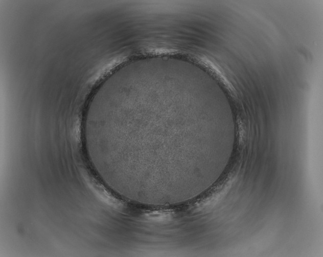 X0000111010447200906191615