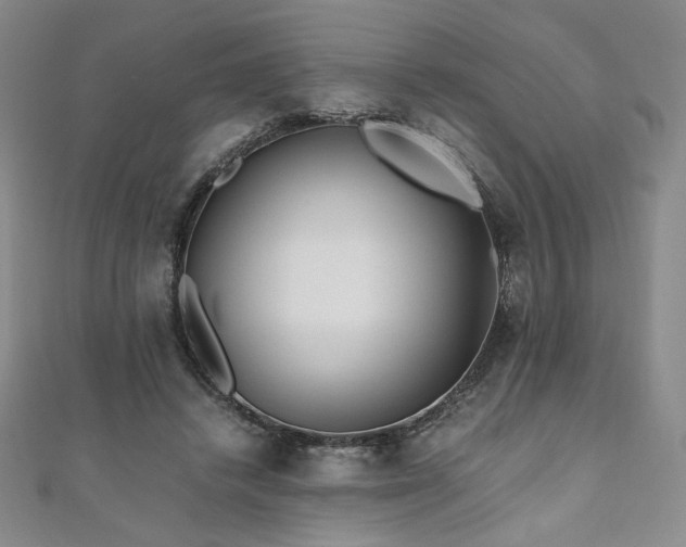 X0000111010448200906191615