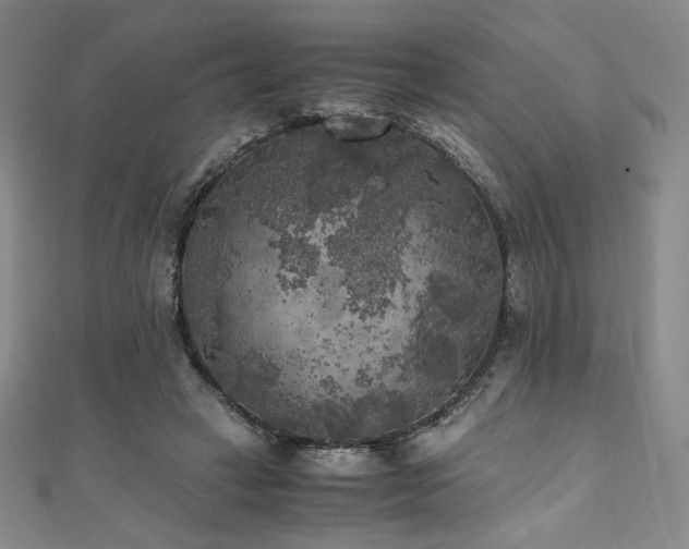 X0000111010449200906191615