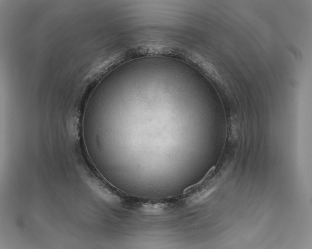 X0000111010450200906191615