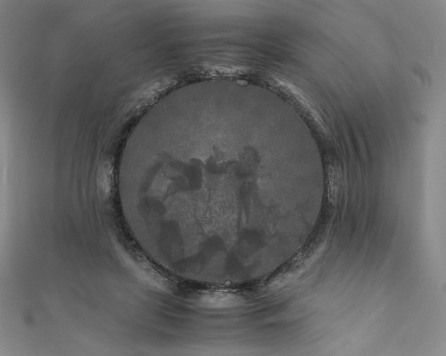 X0000111010451200906191615