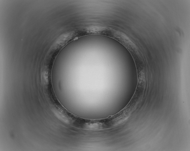 X0000111010452200906191615