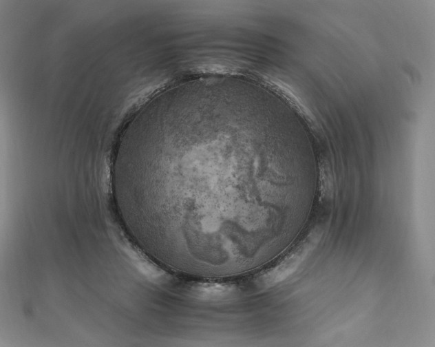 X0000111010453200906191615