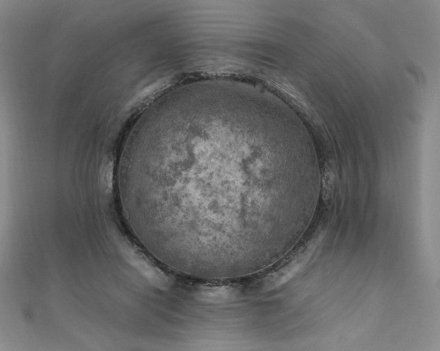 X0000111010454200906191615