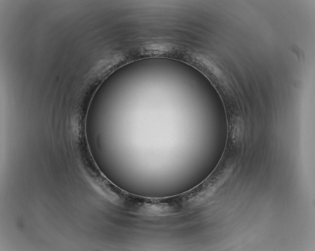 X0000111010455200906191615