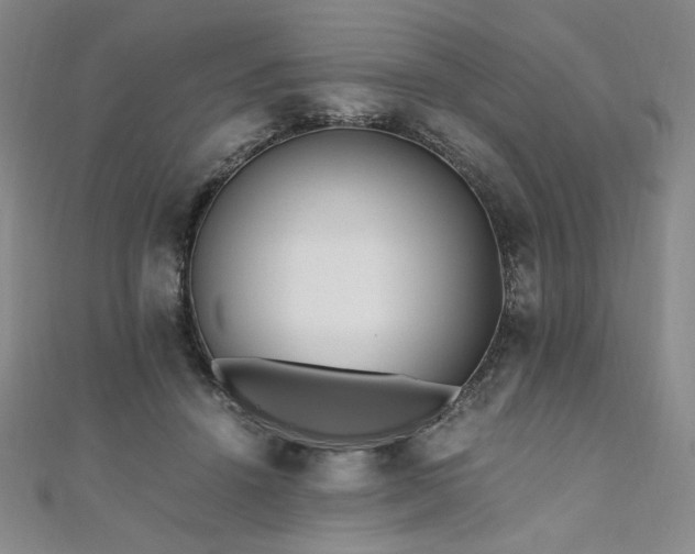 X0000111010456200906191615