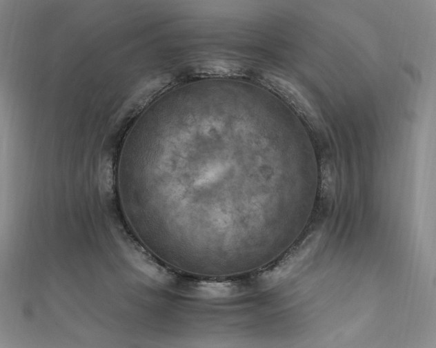 X0000111010457200906191615